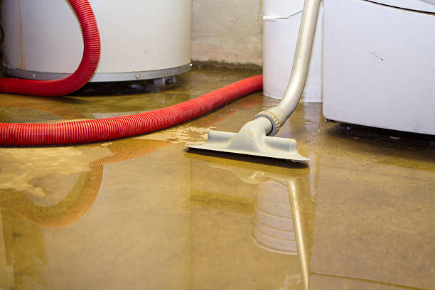 Best Basement water damage restoration  in Urbana, MD